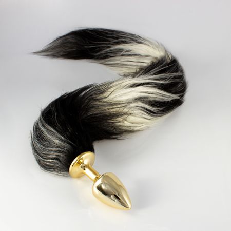 Dourado_s_1_